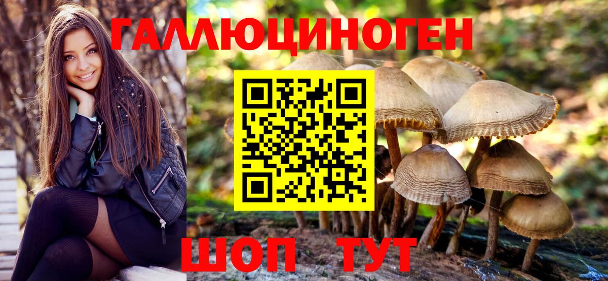 Благовещенск  Псилоцибиновые грибы MAGIC MUSHROOMS  Вход с VPN 